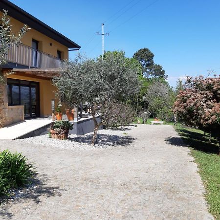 Villa Quinta Do Senhor à Braga Extérieur photo