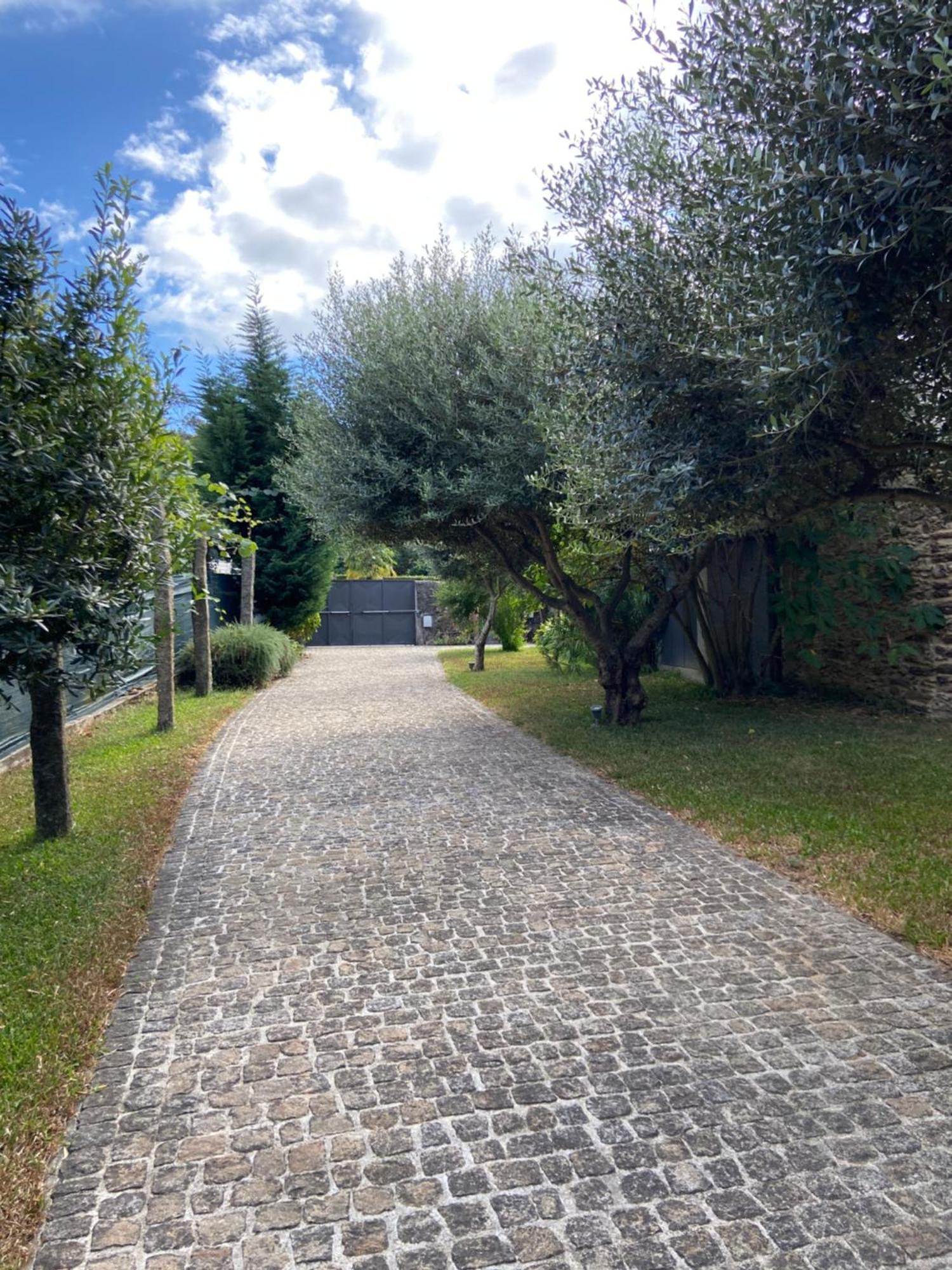 Villa Quinta Do Senhor à Braga Extérieur photo